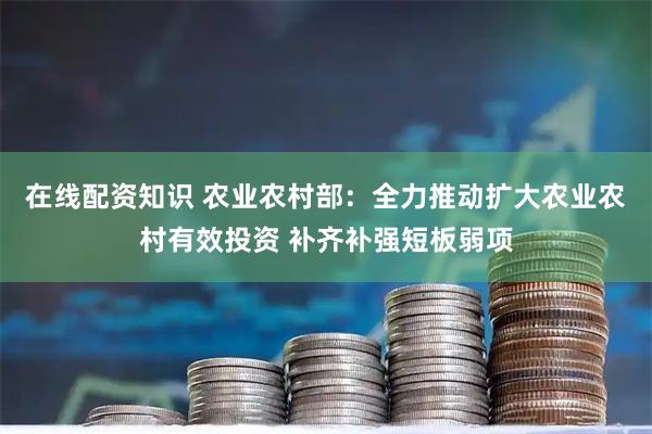 在线配资知识 农业农村部：全力推动扩大农业农村有效投资 补齐补强短板弱项